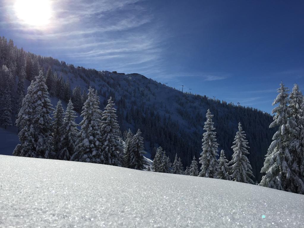 Das Juwel Reith Reith im Alpbachtal Εξωτερικό φωτογραφία