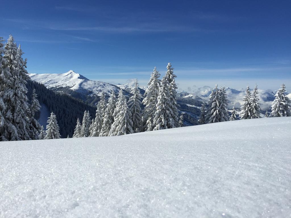 Das Juwel Reith Reith im Alpbachtal Εξωτερικό φωτογραφία